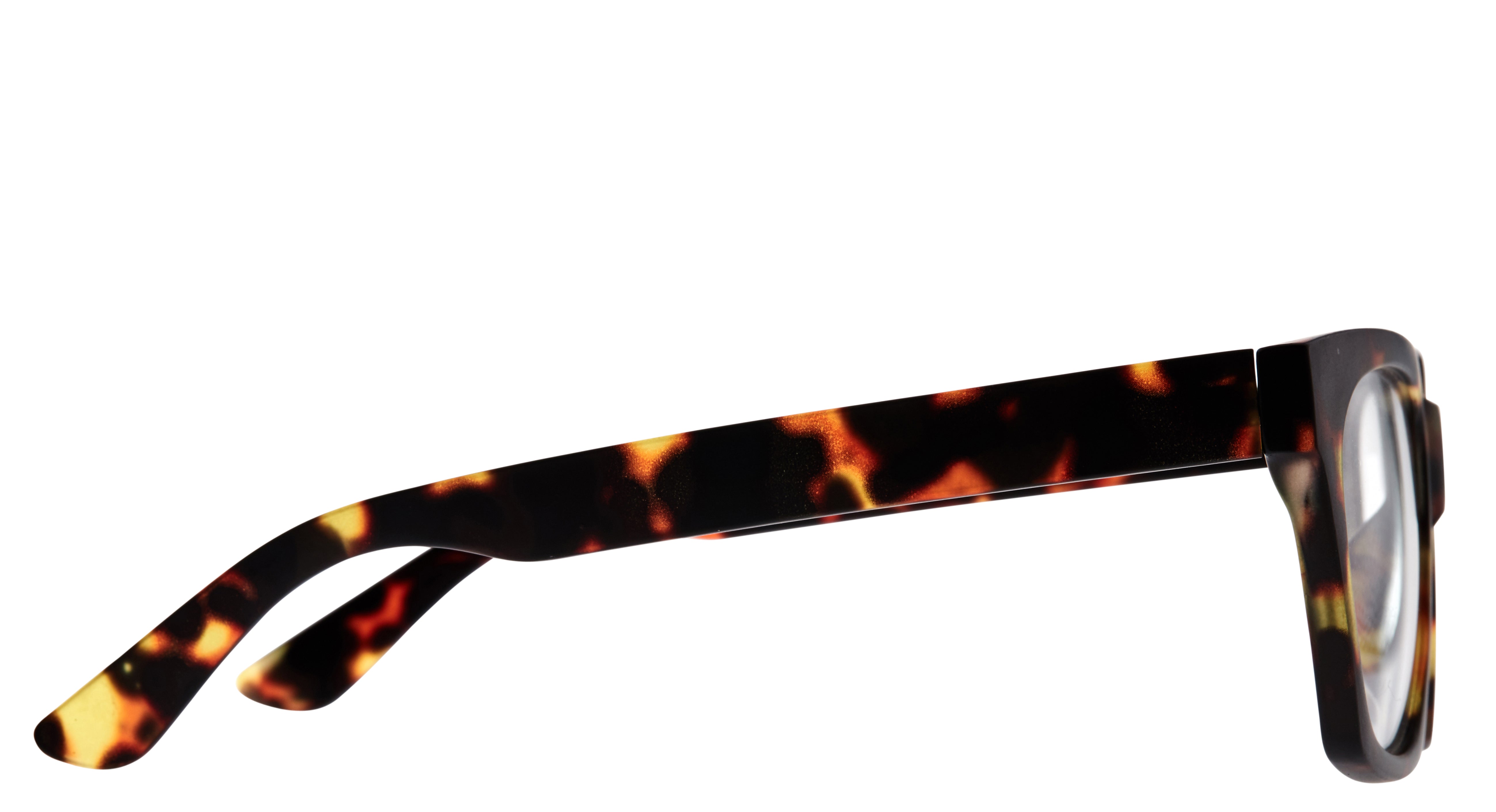 10am Brown Tort | Seconds