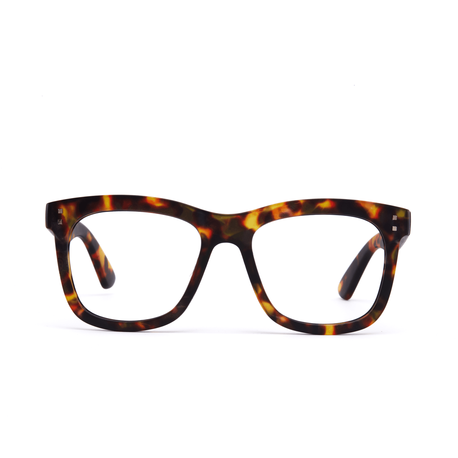 11am Brown Tort | Seconds