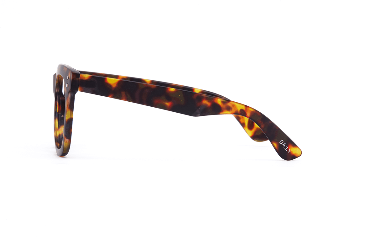 11am Brown Tort | Seconds